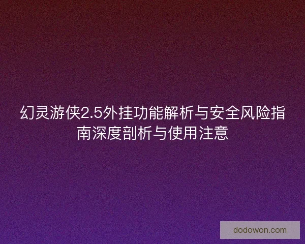 幻灵游侠2.5外挂功能解析与安全风险指南深度剖析与使用注意