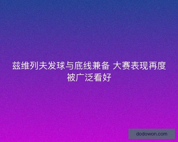 兹维列夫发球与底线兼备 大赛表现再度被广泛看好