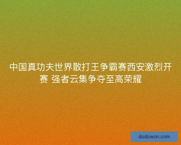 中国真功夫世界散打王争霸赛西安激烈开赛 强者云集争夺至高荣耀